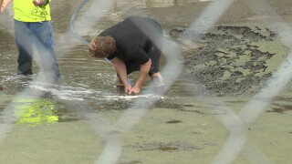 Wildlife groups rescue animals as Gilbert drains lake at Freestone Park