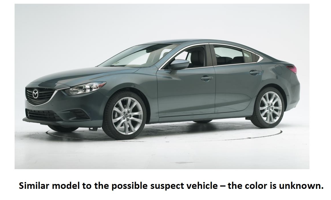 Screen Shot 2021-10-31 at 9.35.07 AM.png