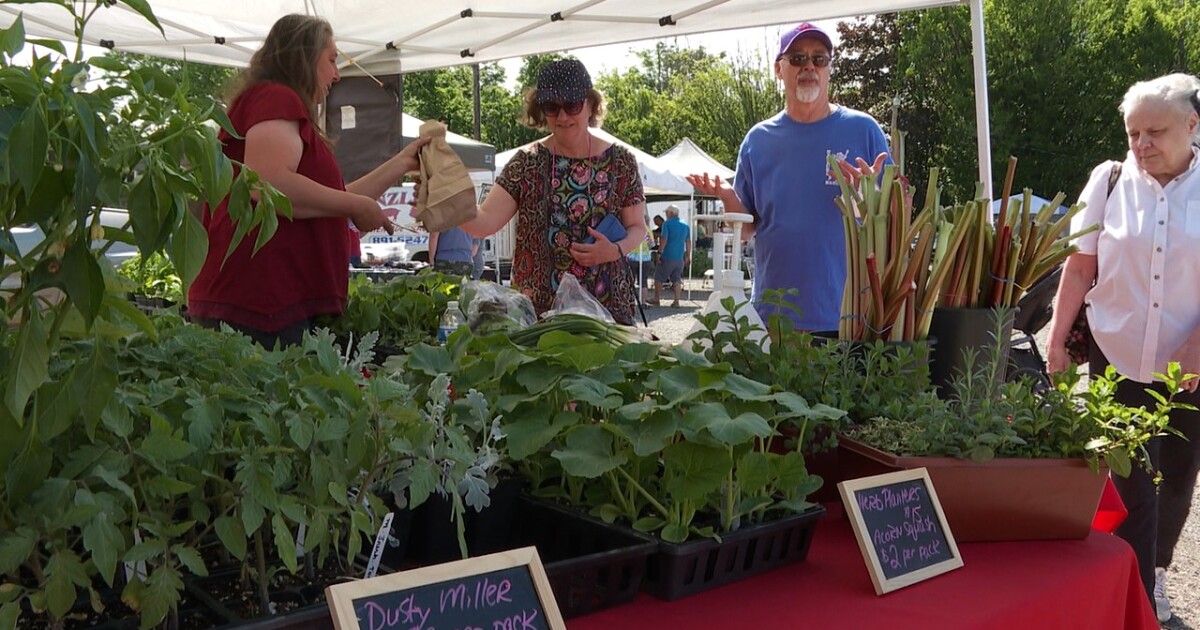 Eden launches first farmer's market