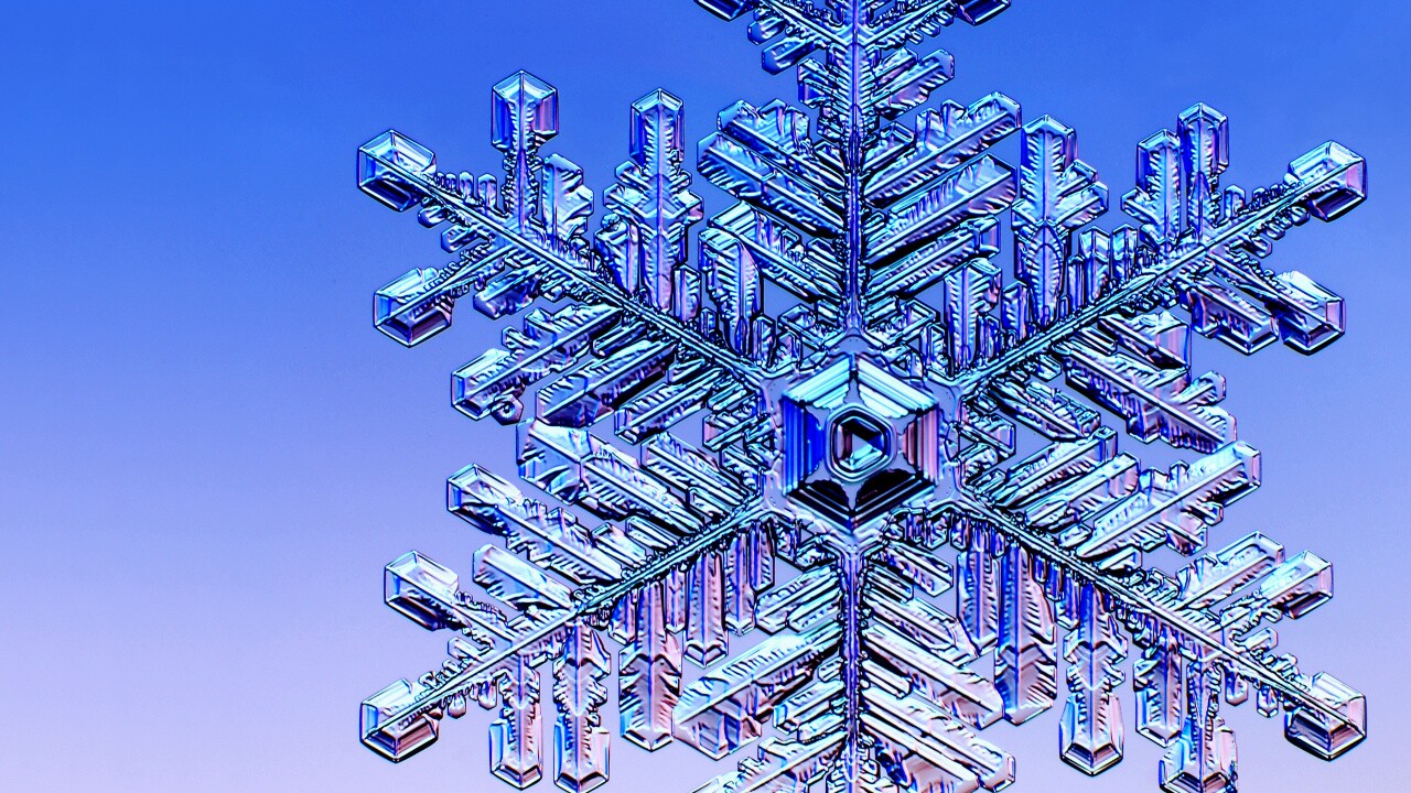 Missing In Action: Snow