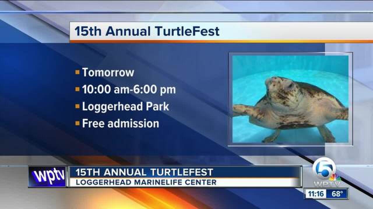 15th annual TurtleFest on March 24