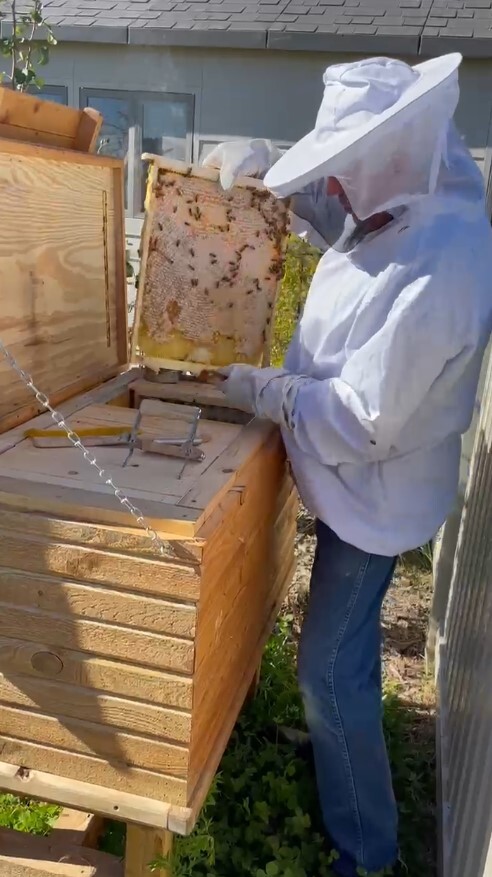 Tony beekeeping