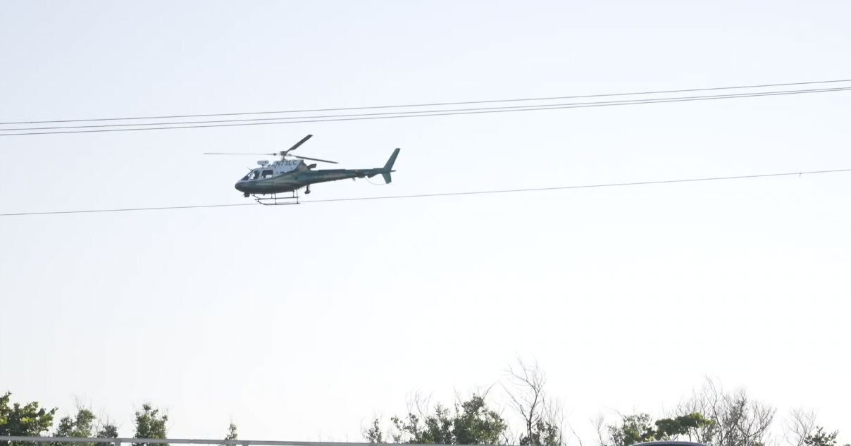 Sanibel Swimmer Search