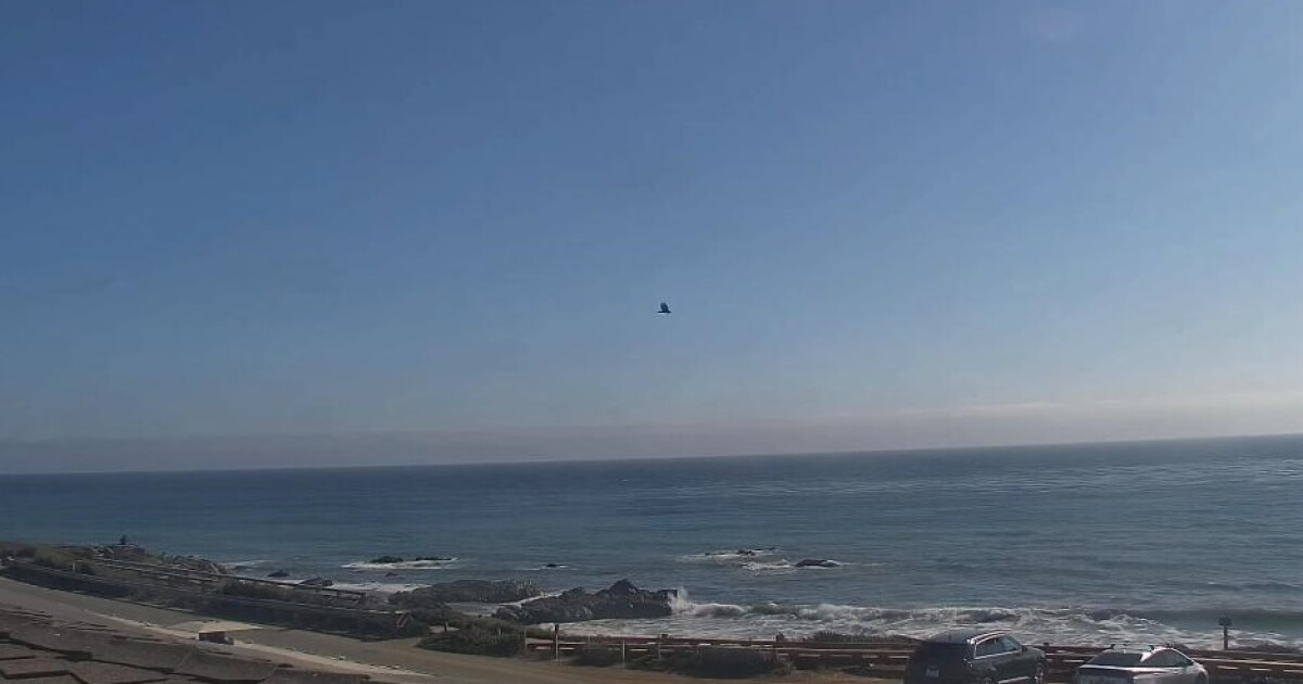 Cool down continues across the Central Coast but the heat returns this weekend - Vimarsana News