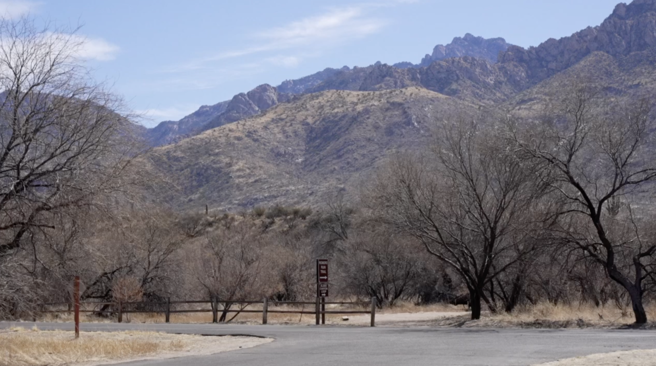Catalina State Park