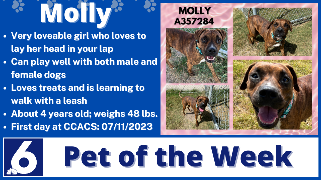 Pet of the Week: Molly