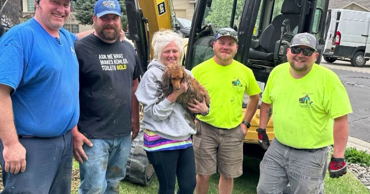 Neighborhood celebrates as dog is rescued from drain pipe - Vimarsana News