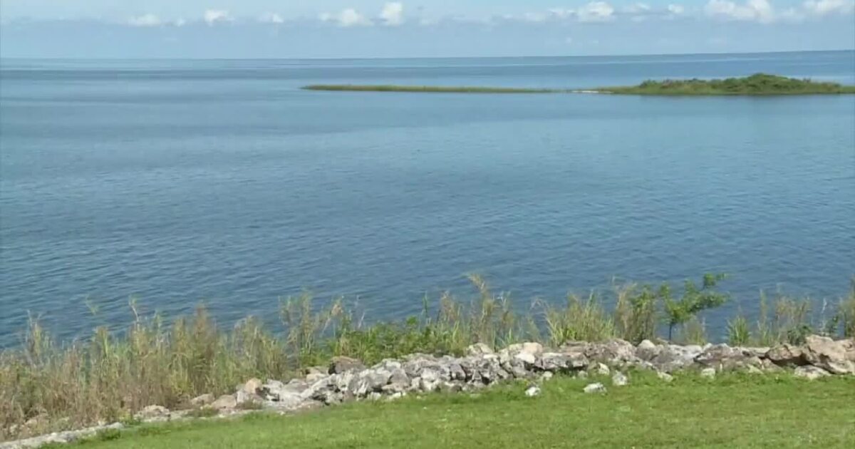 Beware: Blue-Green Algae Detected in Lake Okeechobee, Warns Florida Department of Health in Palm Beach County Beware: Blue-Green Algae Detected in Lake Okeechobee, Warns Florida Department of Health in Palm Beach County