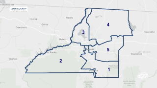 LEON COUNTY CENSUS DATA