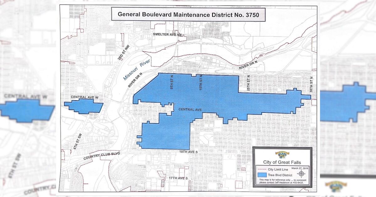Great Falls City Forester explains tree removal process