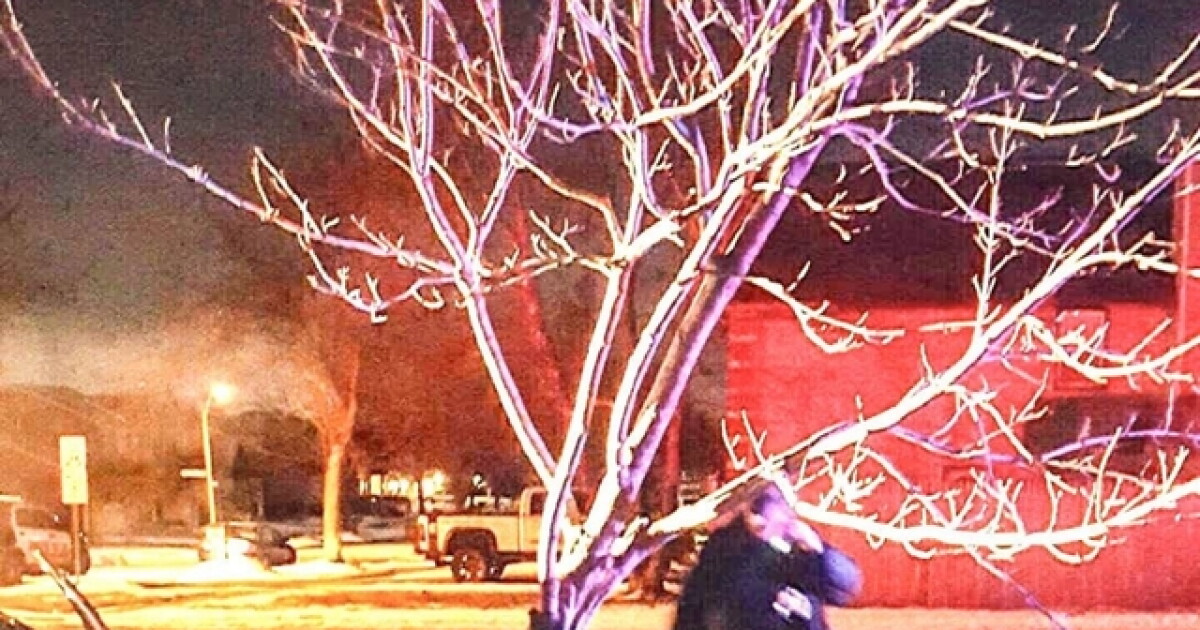 DUI suspect caught with tree stuck in car grille