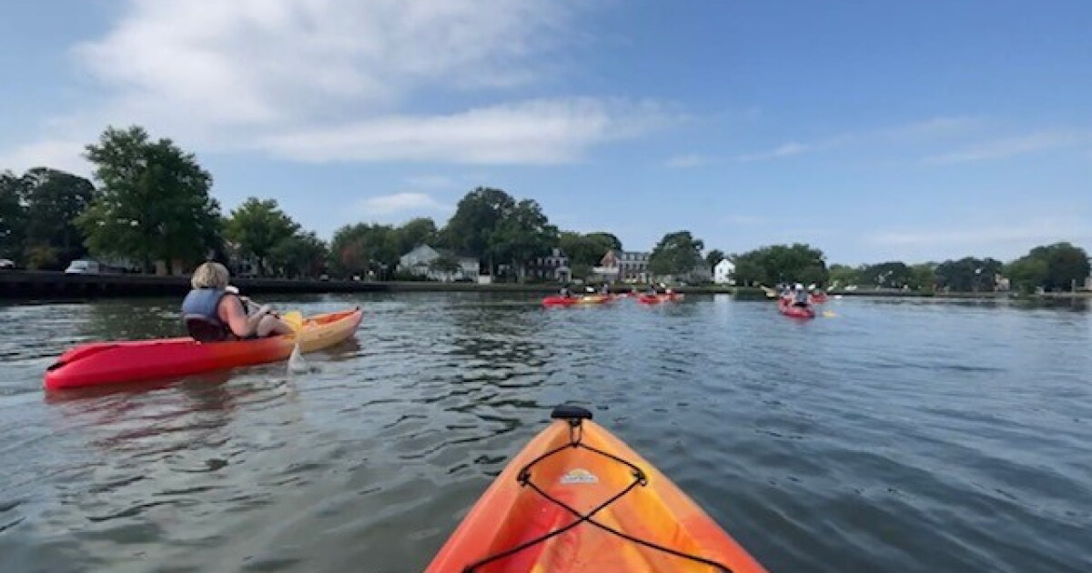 Nature & Eco-Tours highlight conservation efforts & wildlife on Elizabeth River - Vimarsana News