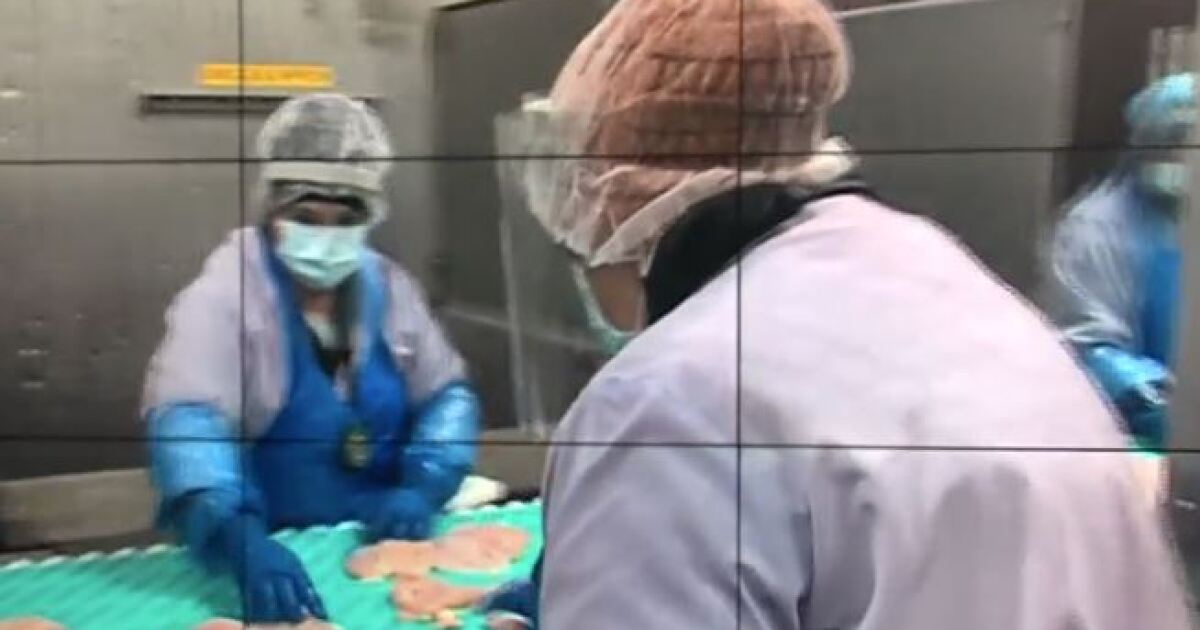 Local businesses impacted by meat processing plants closing