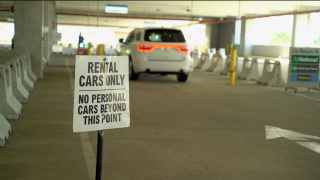 TAFY rental car.png