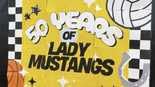 Mustangs.jpg