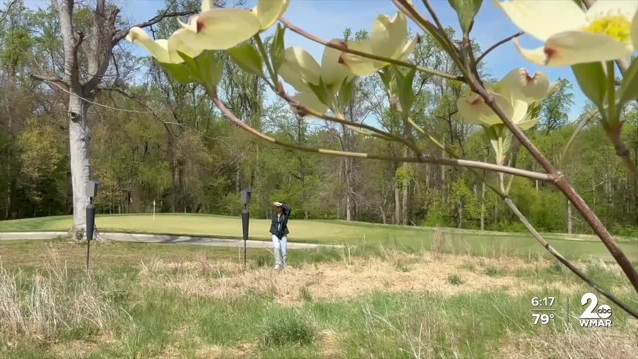 UMD golf course transformation.jpg