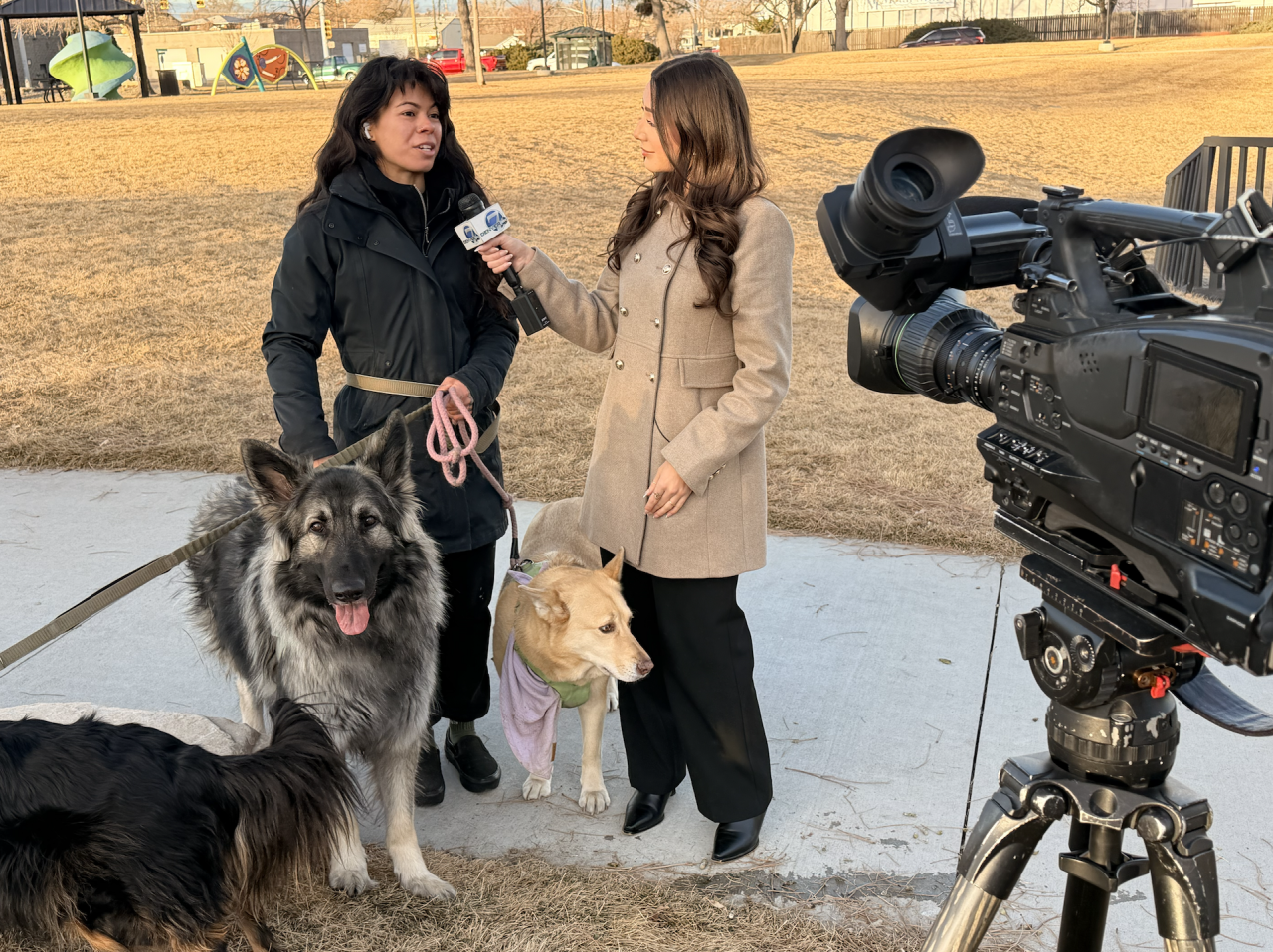 Commerce City homeowner speaks with Denver7's Sophia Villalba.