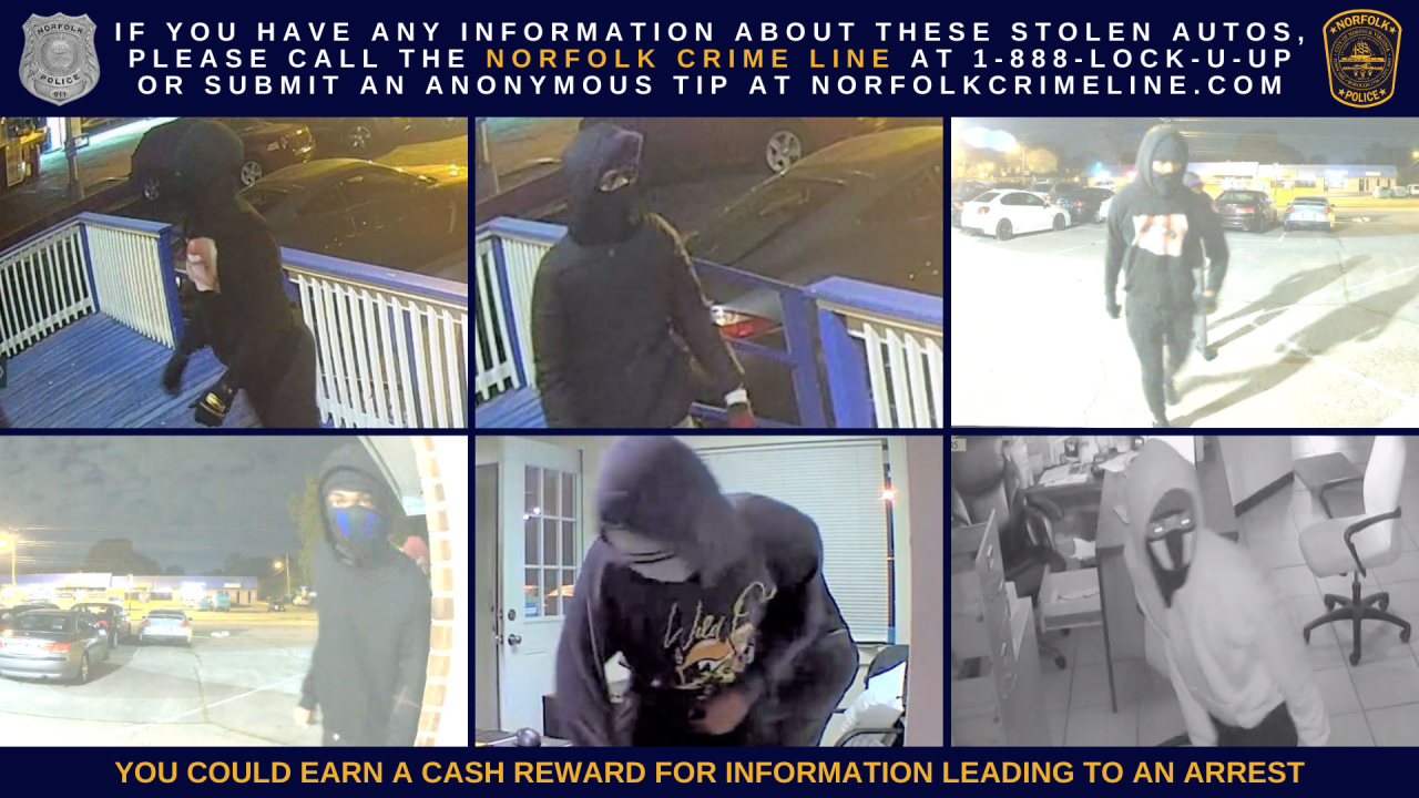 NF car dealership theft suspects (June 8)