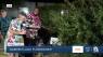 Garden Luau fundraiser to fuel summer camp scholarships