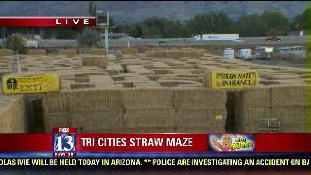 Tri City Nursery straw maze
