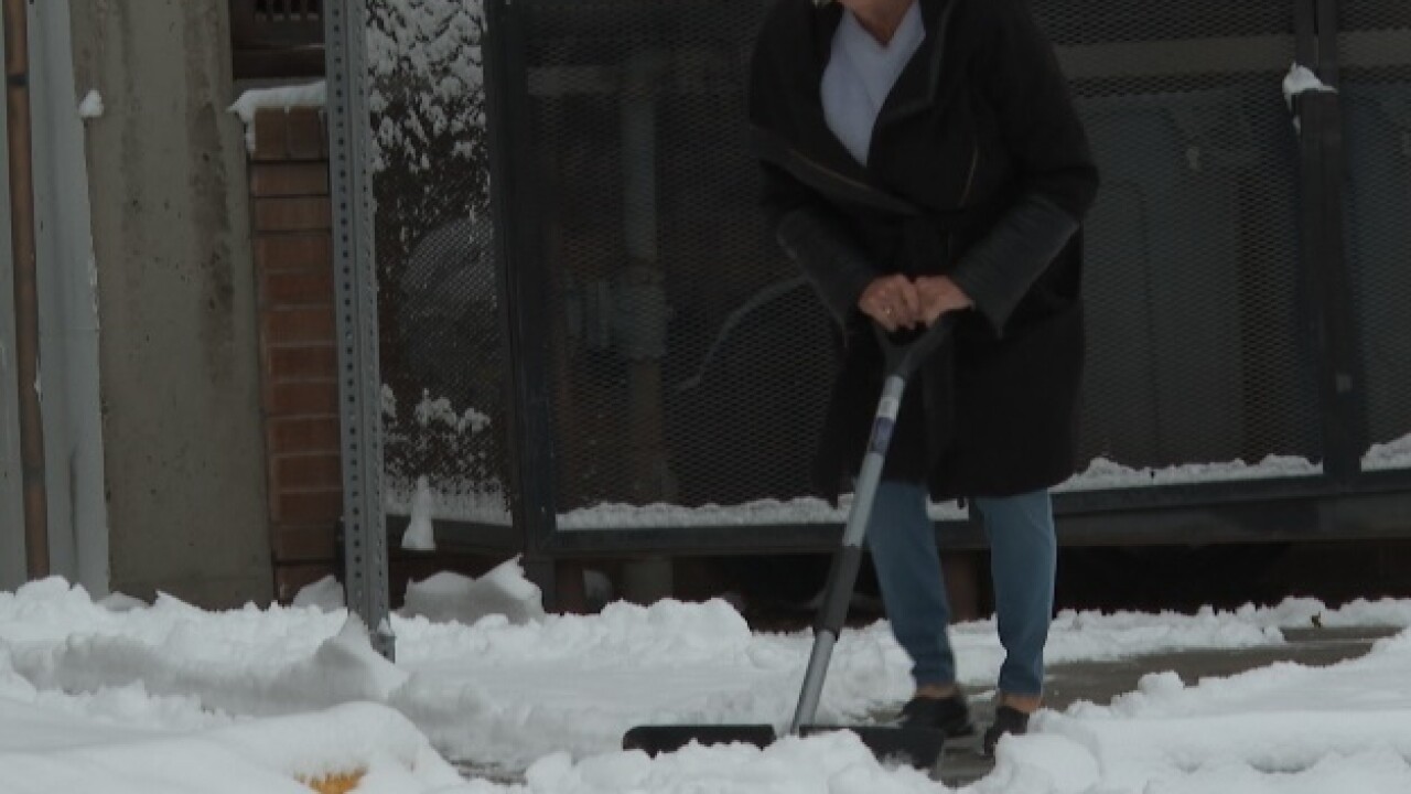 BUTTE SHOVELER.jpg