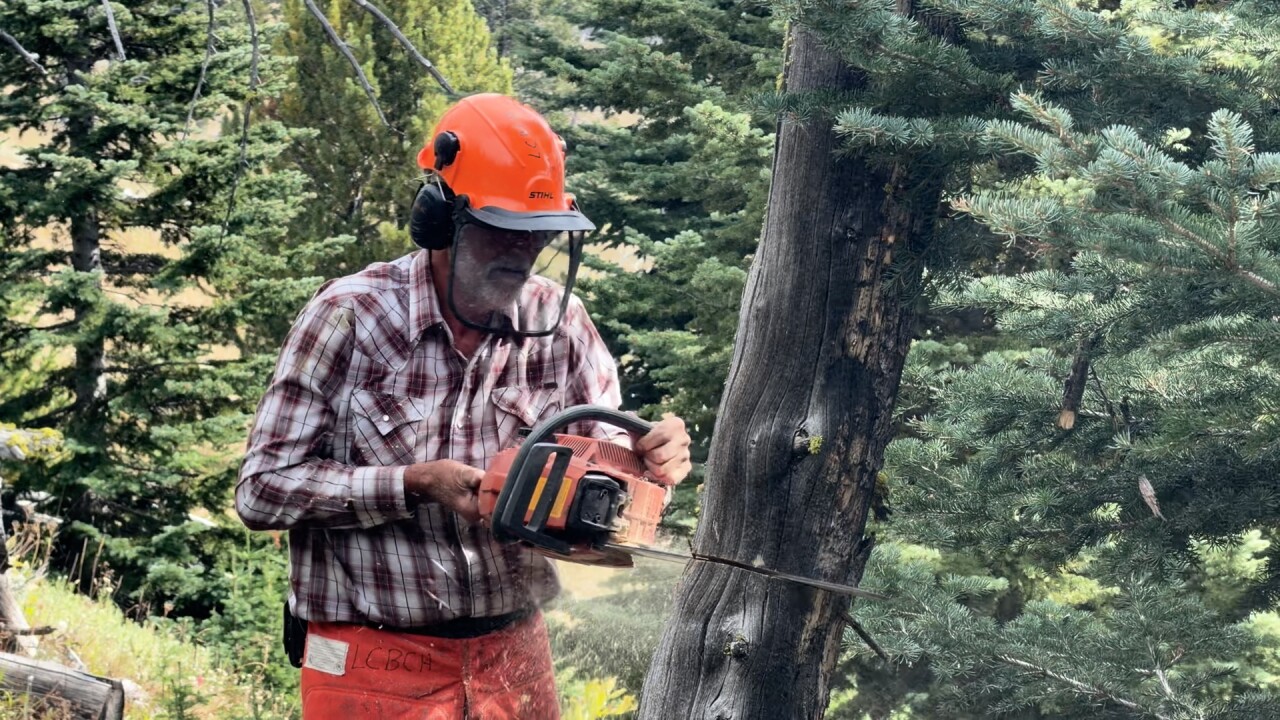 Chainsaw