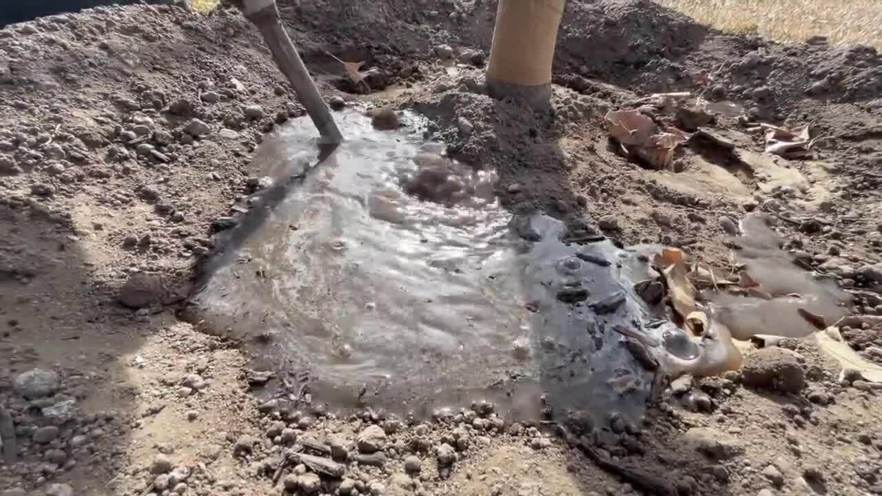 Deep root watering