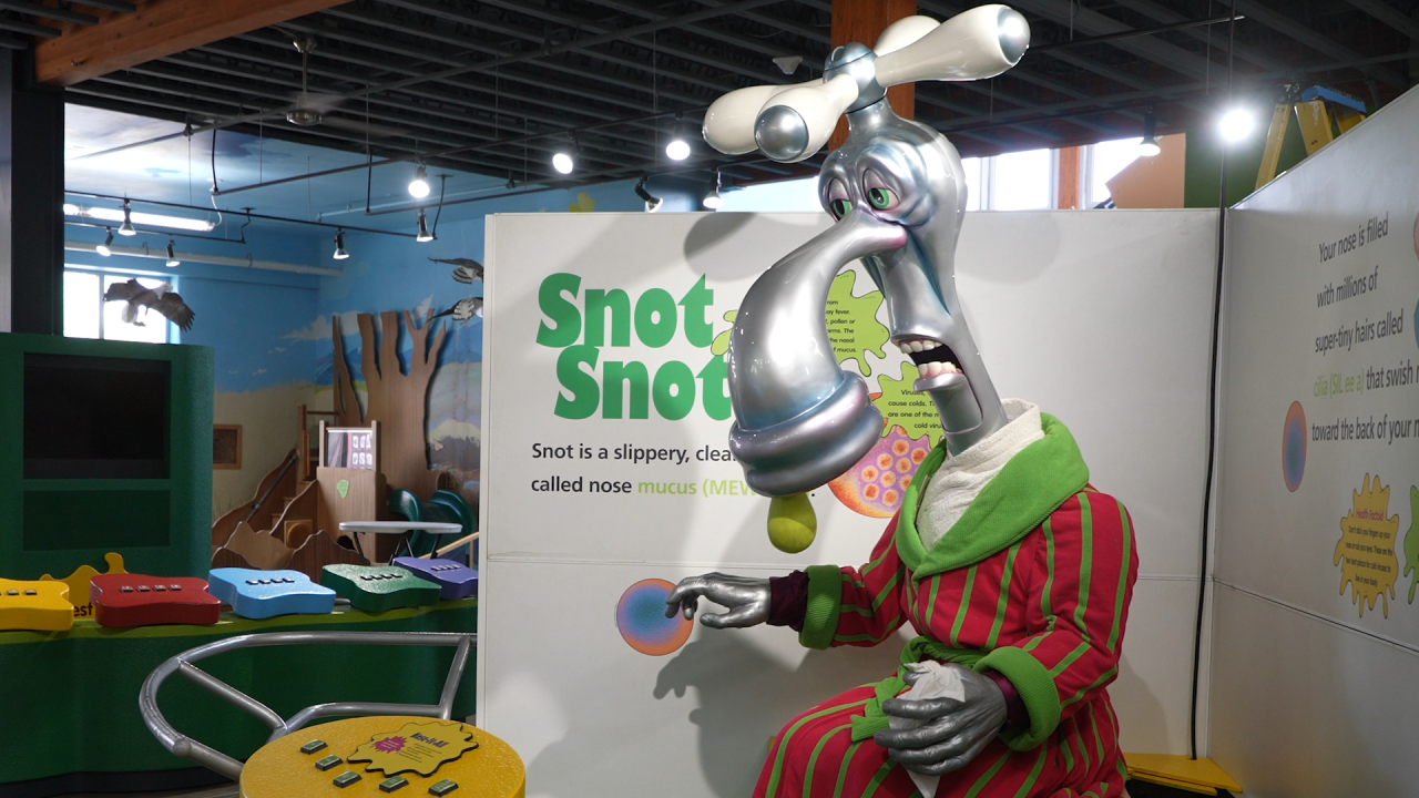Grossology exhibit at ExplorationWorks