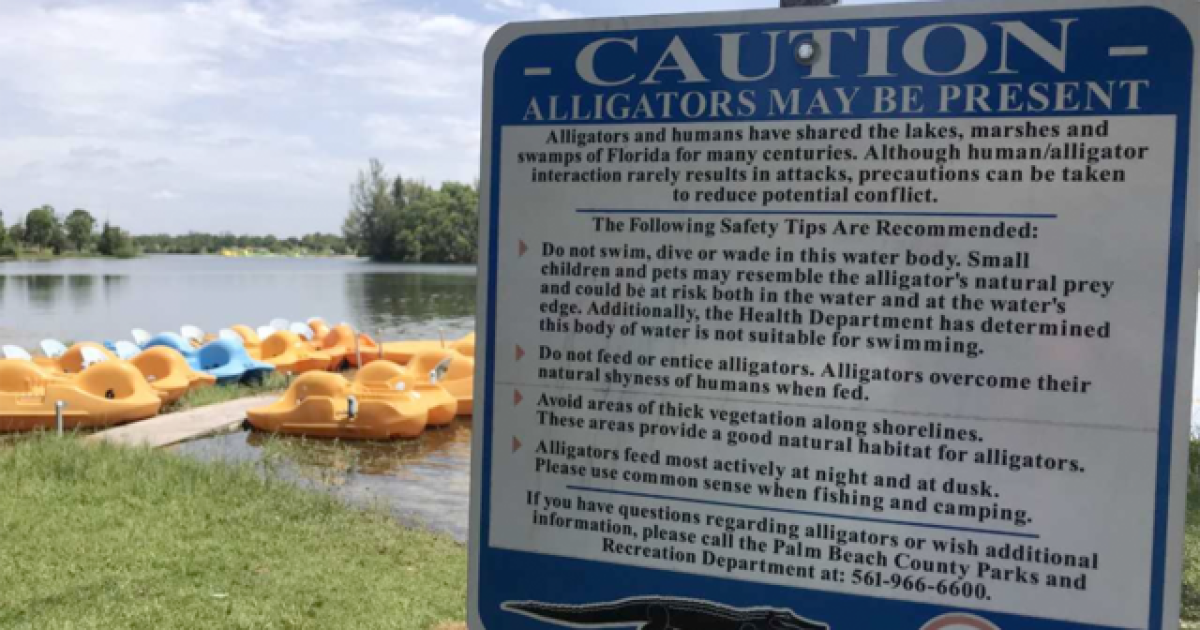 Should Aqua Park Visitors Be Concerned About Alligators