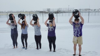Sweetheart Polar Plunge