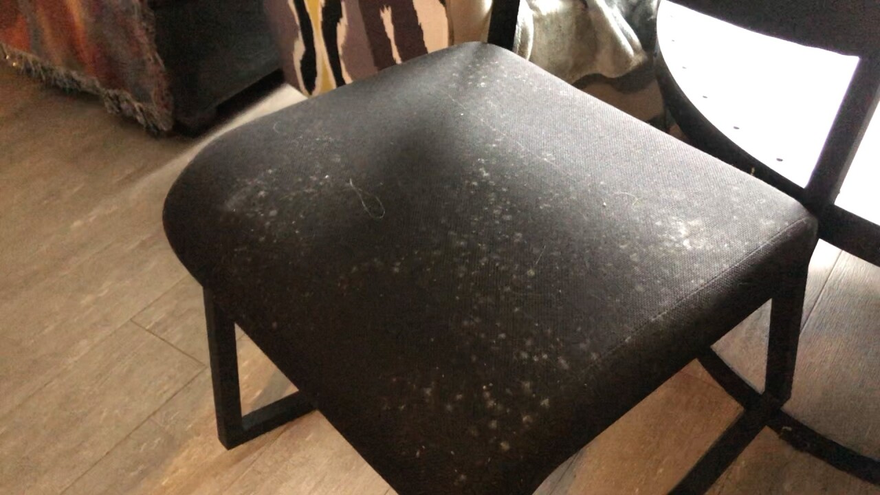 MOLD.jpg