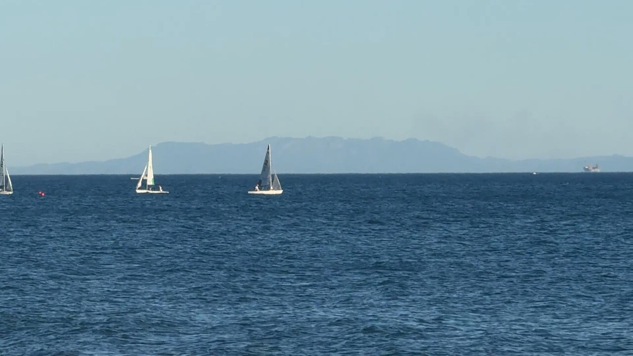 harbor.jpg