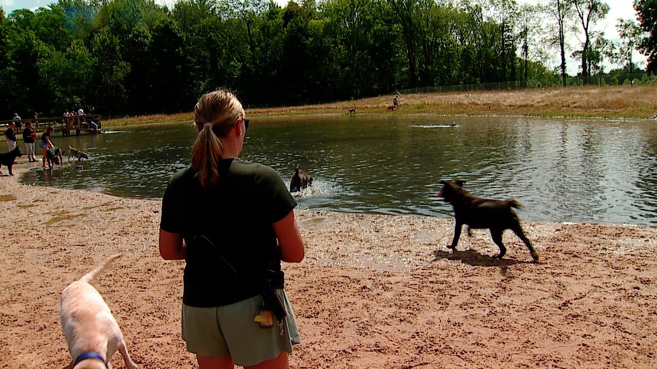 looking at water.jpg