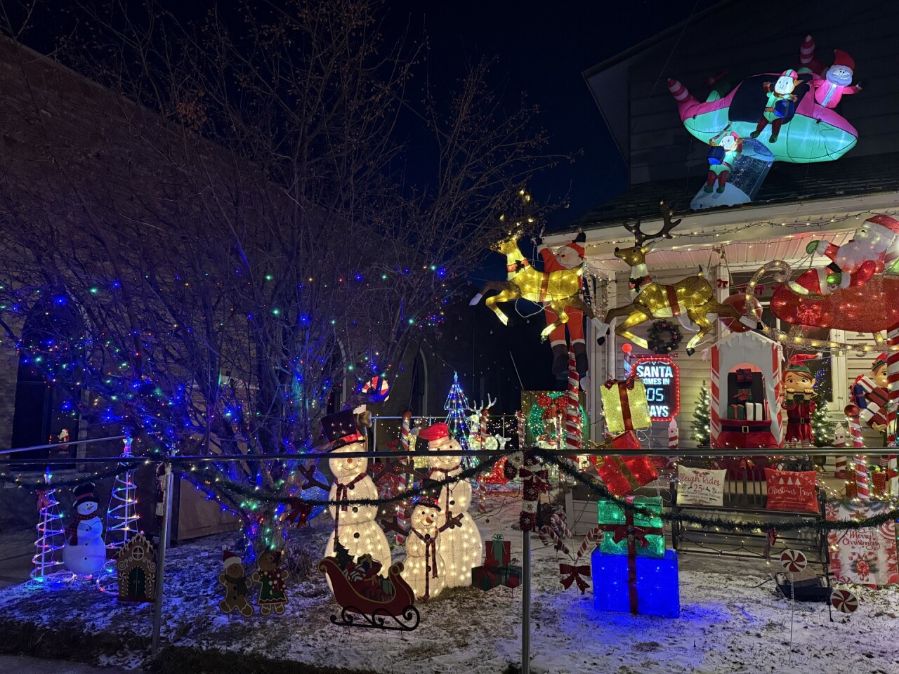 maribel rodriguez 2.jpg