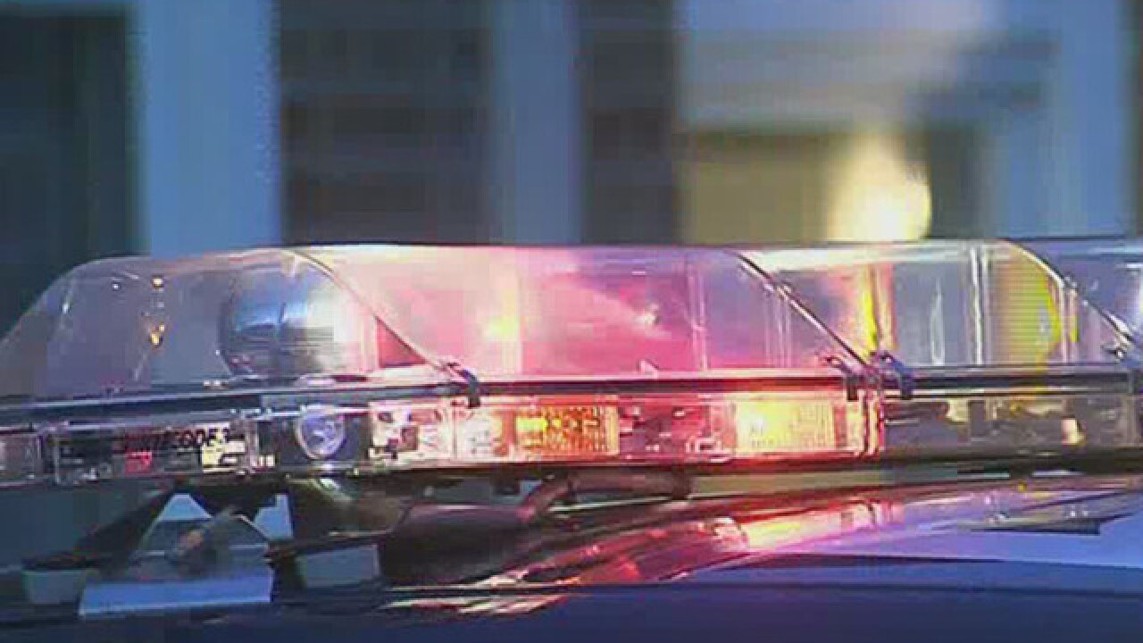 Police lights