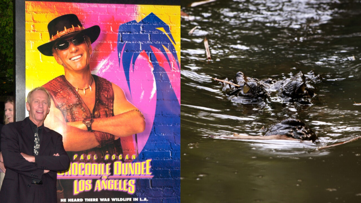 90-year-old crocodile from 'Crocodile Dundee' dies at aquarium in Australia
