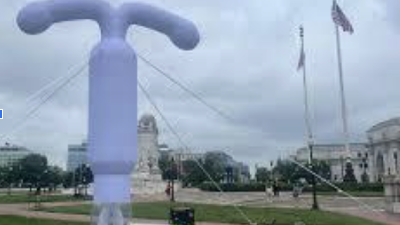 Inflatable IUD display
