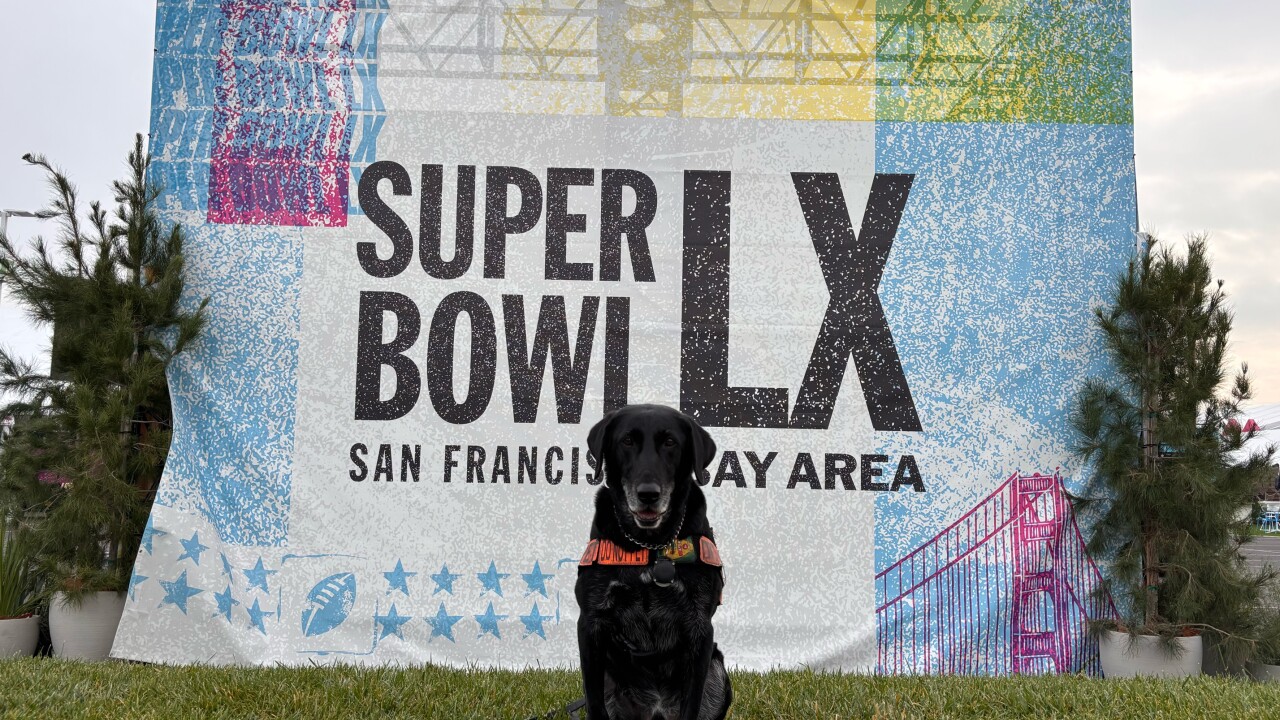 LAS K9 teams Super Bowl 