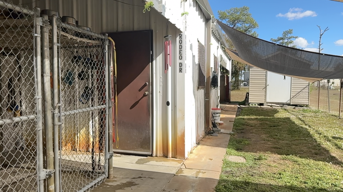 Inside LaBelle Animal Control facility