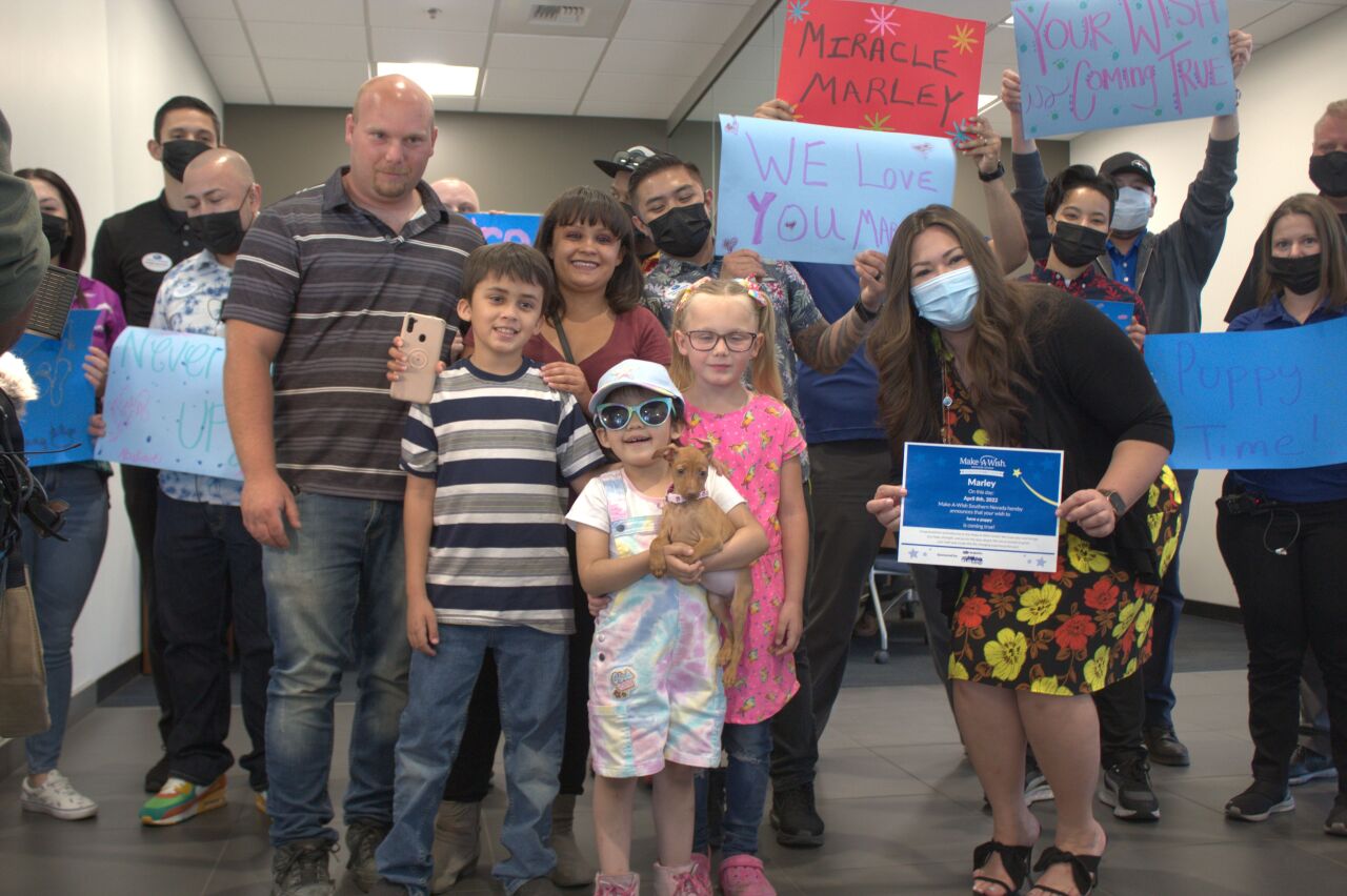 Marley Make a Wish 3.jpeg