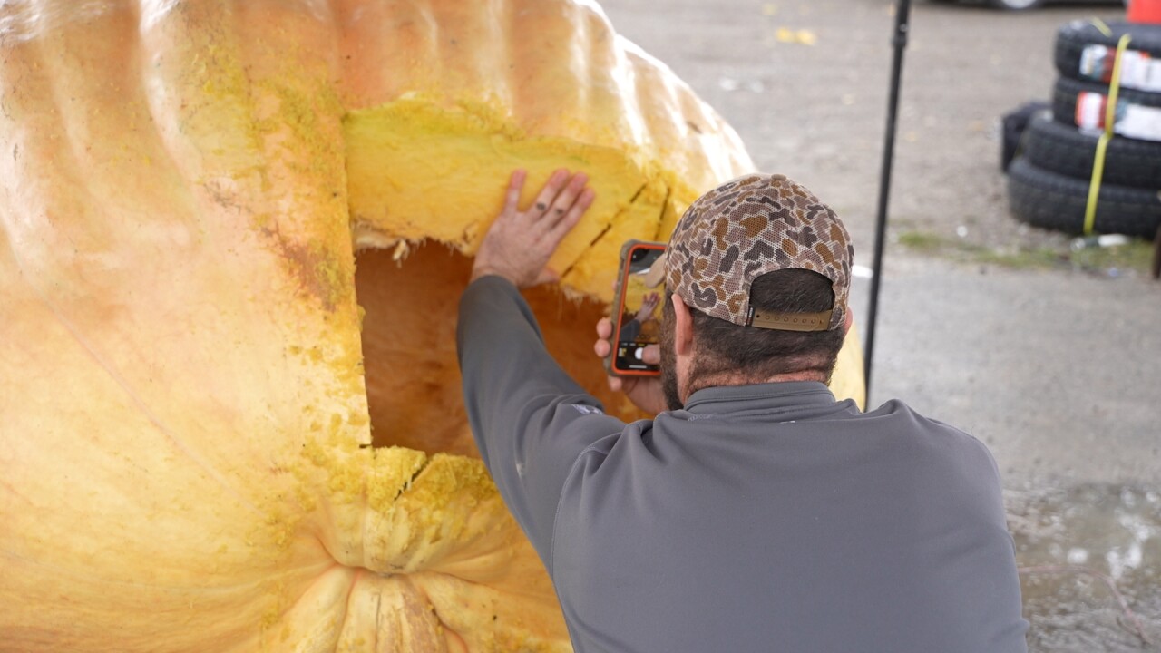 pumpkin4_2.25.1.jpg