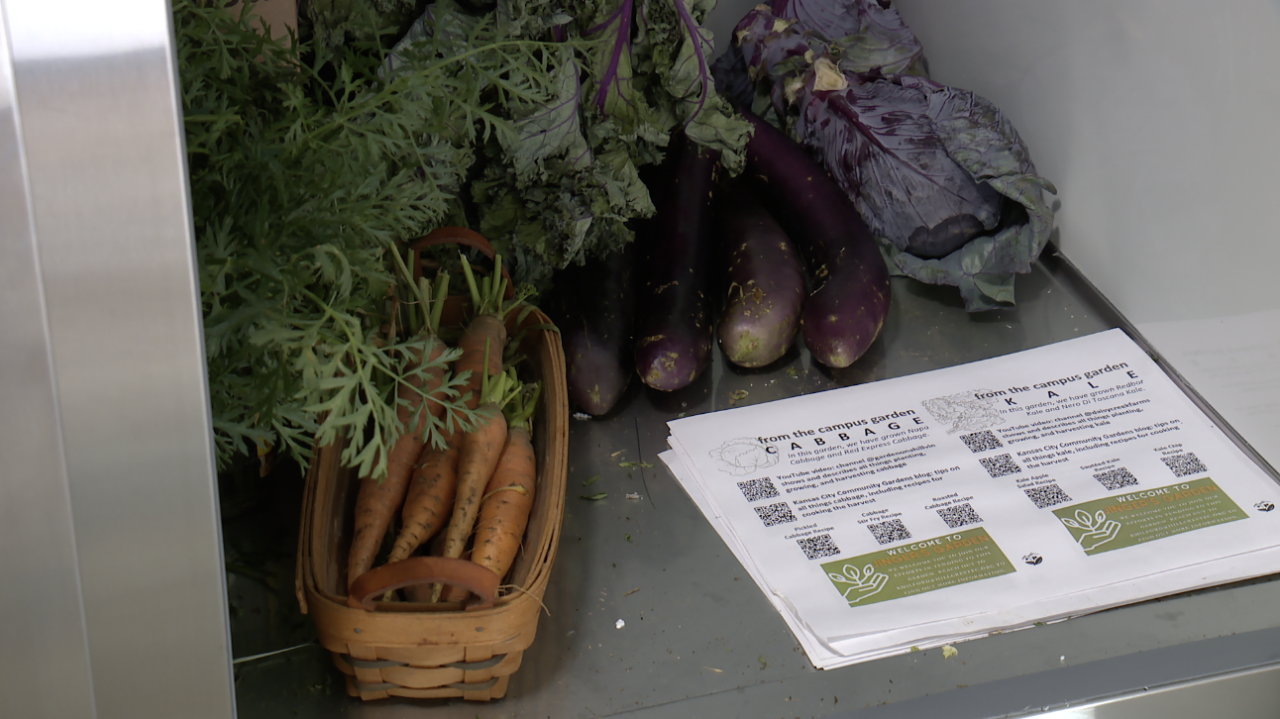 Screenshot 2024-07-20 at 9.19.01 PM.png