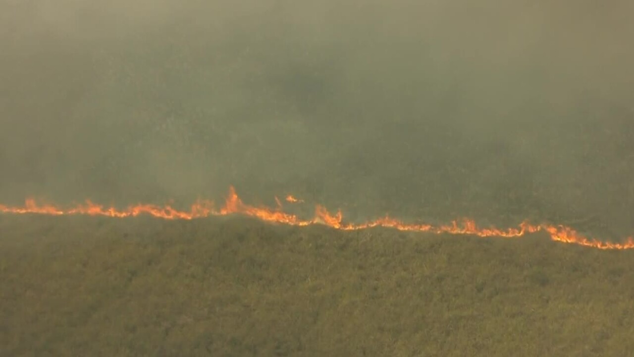 A wildfire burns near the Palm Beach and Broward County line on May 6, 2022 (1).jpg
