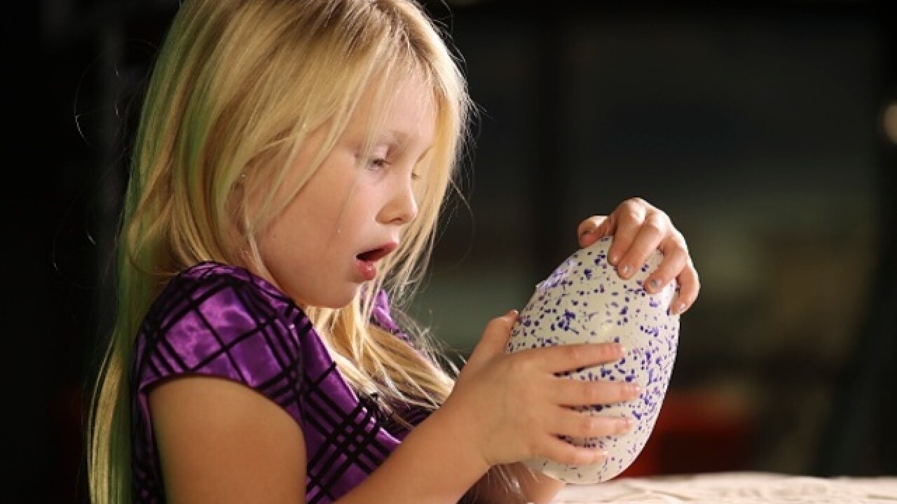 Toys R Us to get a shipment of Hatchimals before Christmas