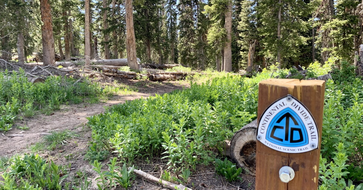 Continental Divide Trail, with 800 miles through Colorado, turns 45 years old - Vimarsana News