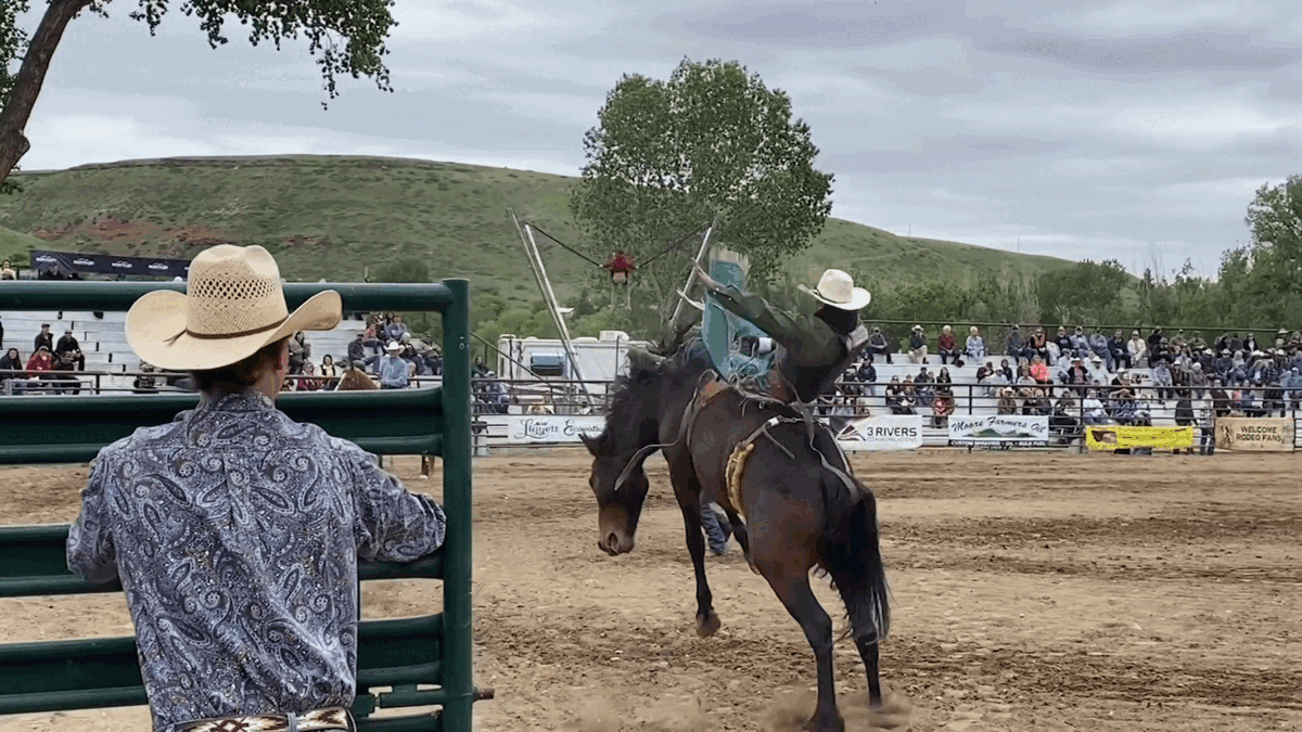 Belt Rodeo gif