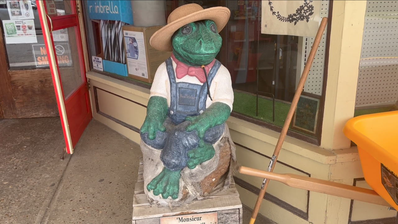 Monsieur Fermier Quincaillerie frog statue image
