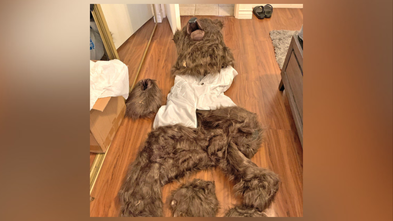 Bear attacks insurance fraud