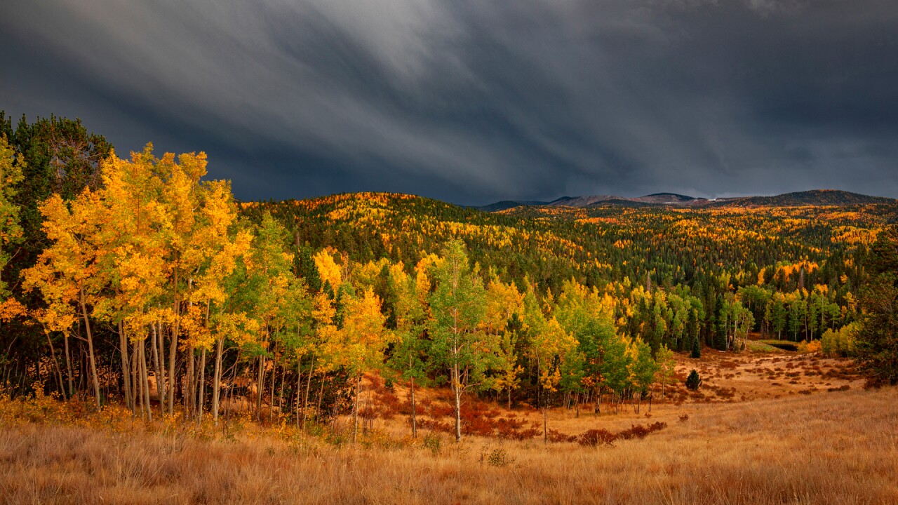 near Victor courtesy Peter Schwepker