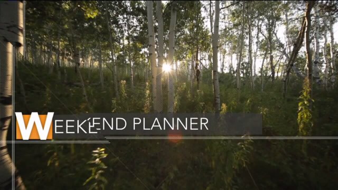 Weekend Planner: Get out of the house and enjoy fun activities in Utah!